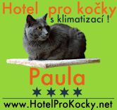 Hotel pro koky - PAULA Kozmice